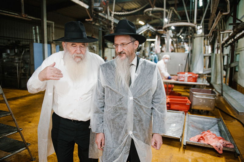 רוסיה: סכיני השוחטים נבדקו לקראת ראש השנה