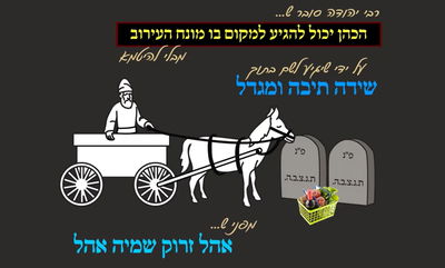 הדף היומי: מסכת עירובין, דף ל' • סיכום והמחשה