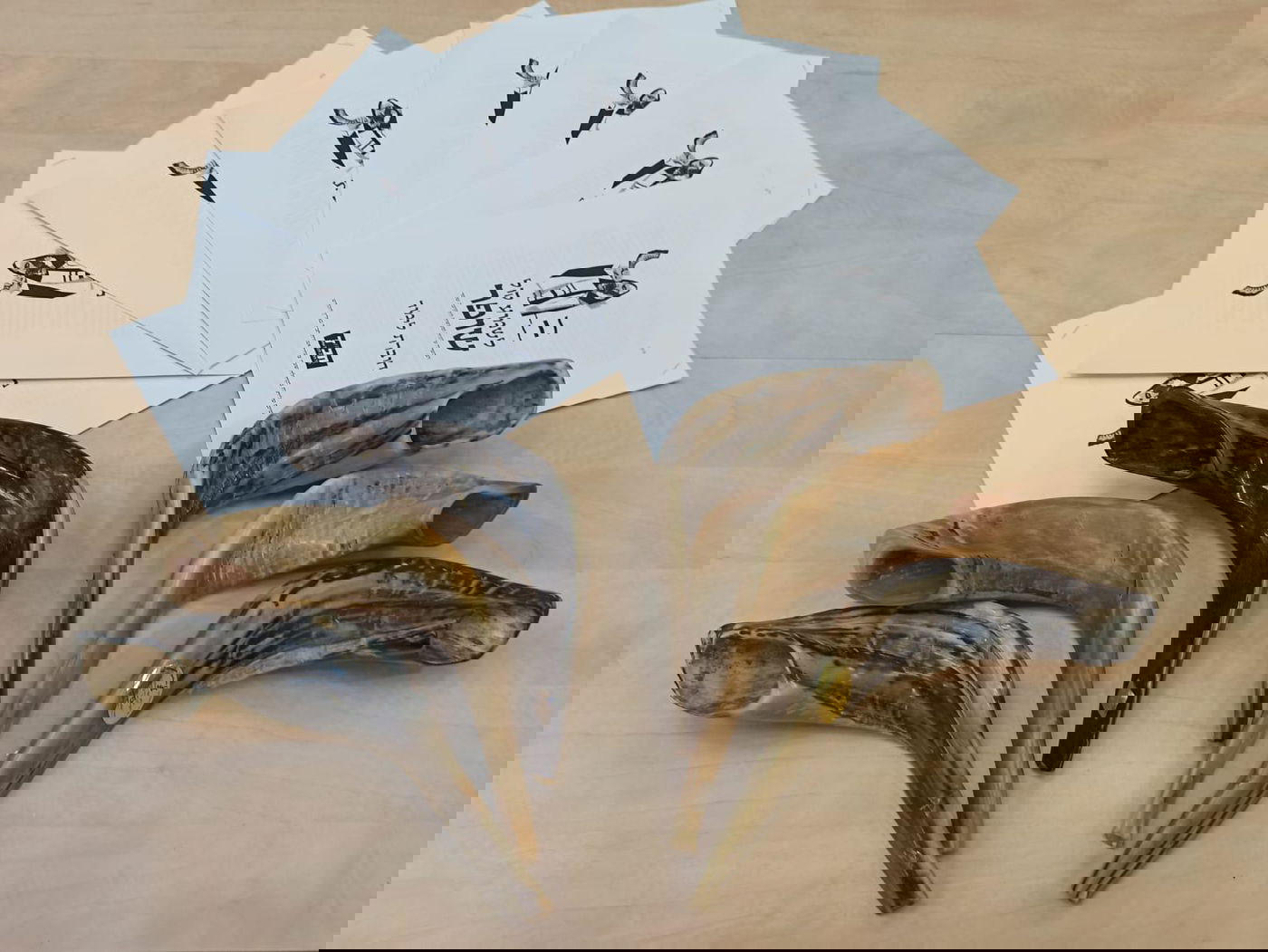 צפו: כך חב"ד מכשירה אלפים לתקוע בשופר