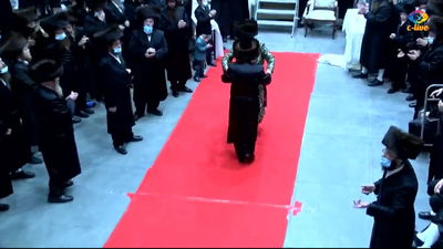 חקירת משטרה בעקבות החתונה ההמונית של סערט ויז'ניץ