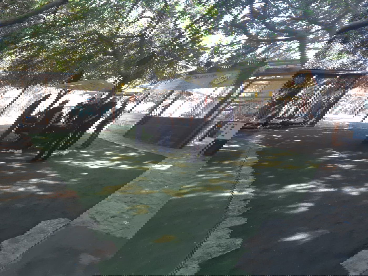 ישראל פרוש נאנק מכאבים, בעימות עם פקחים • צפו