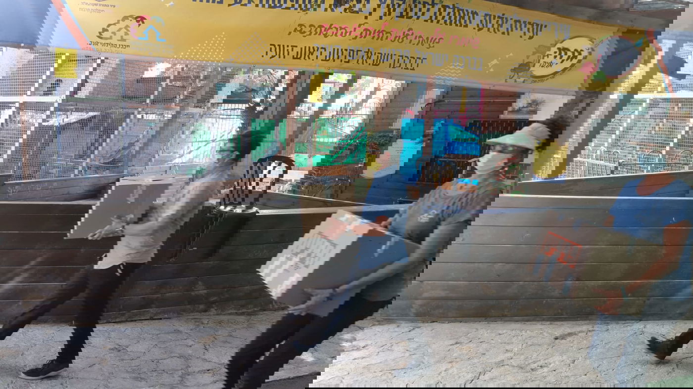 ישראל פרוש נאנק מכאבים, בעימות עם פקחים • צפו