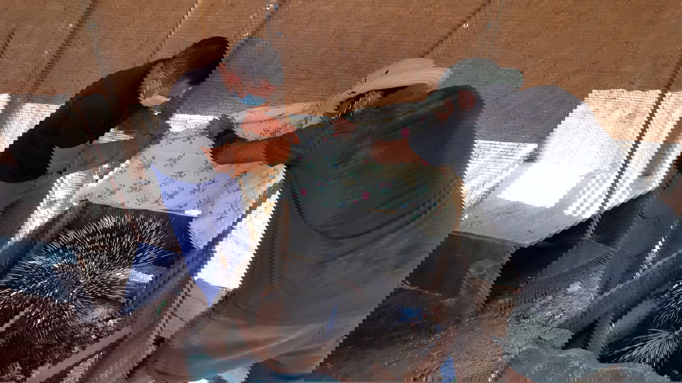 ישראל פרוש נאנק מכאבים, בעימות עם פקחים • צפו