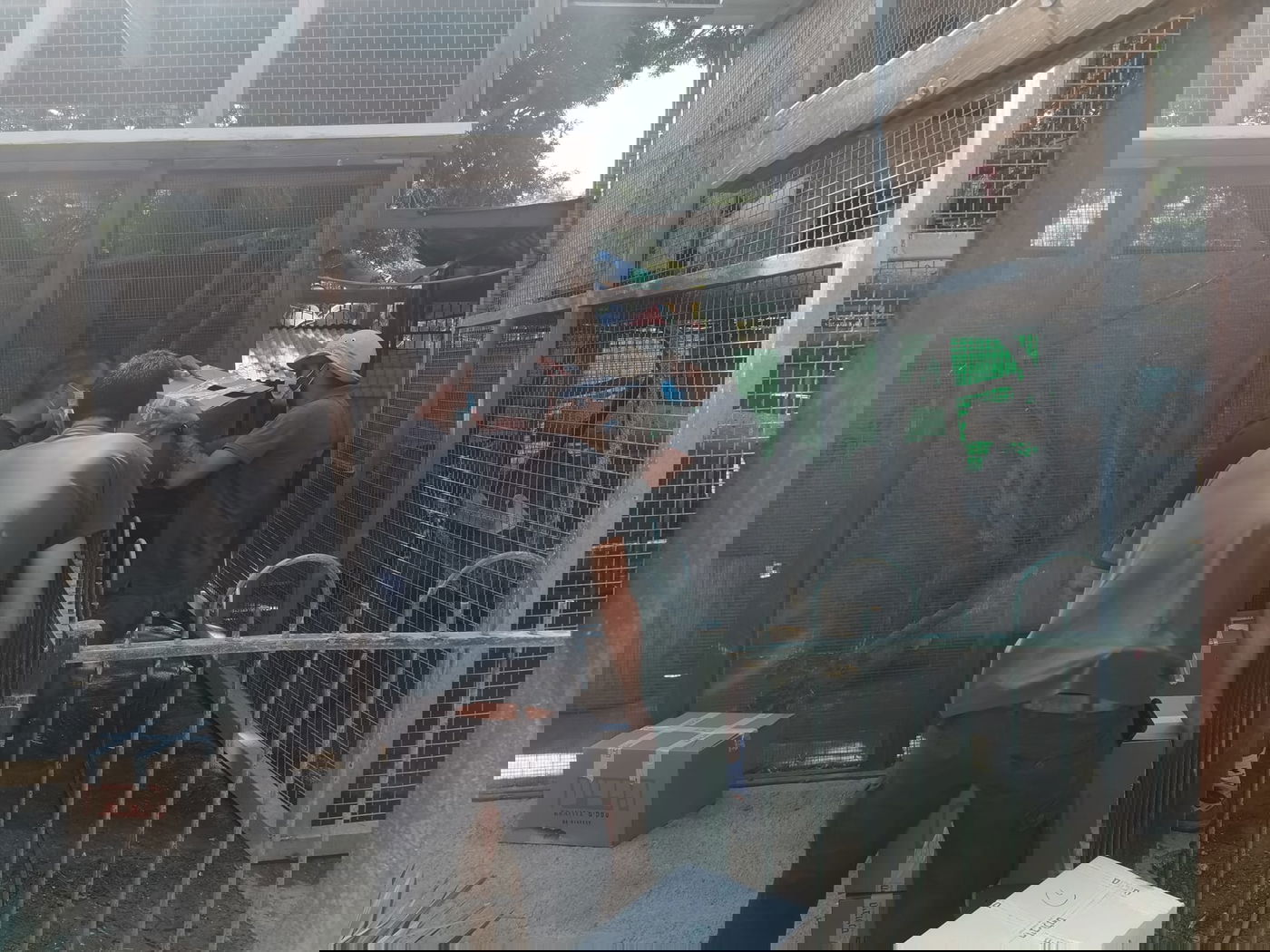 ישראל פרוש נאנק מכאבים, בעימות עם פקחים • צפו