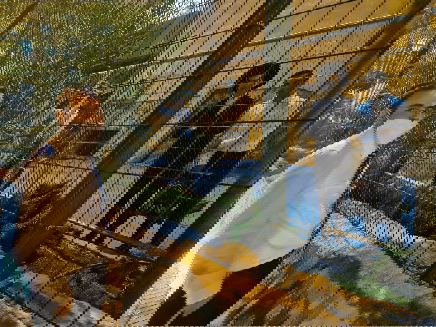 זופניק בכיכר • כל התמונות והנייעס של השבוע