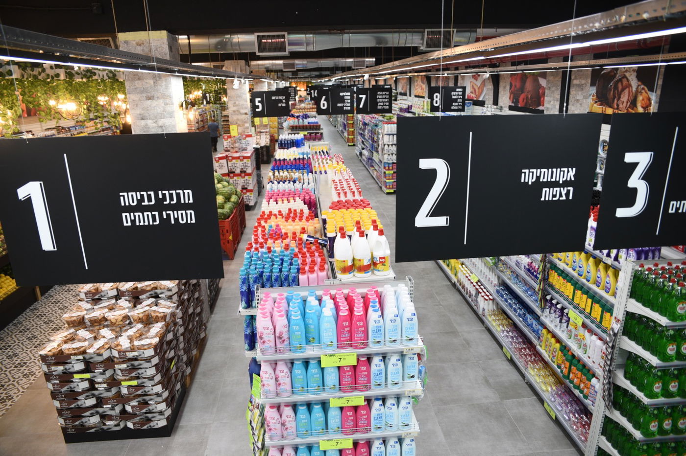 למרות הקורונה: צרפת הגיעה לצפת בטיסה ישירה