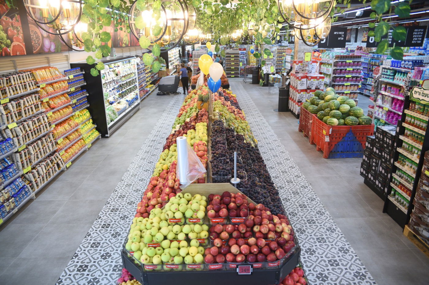 למרות הקורונה: צרפת הגיעה לצפת בטיסה ישירה