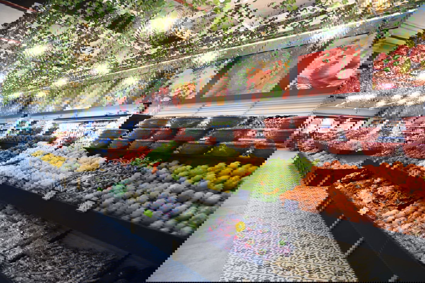 למרות הקורונה: צרפת הגיעה לצפת בטיסה ישירה