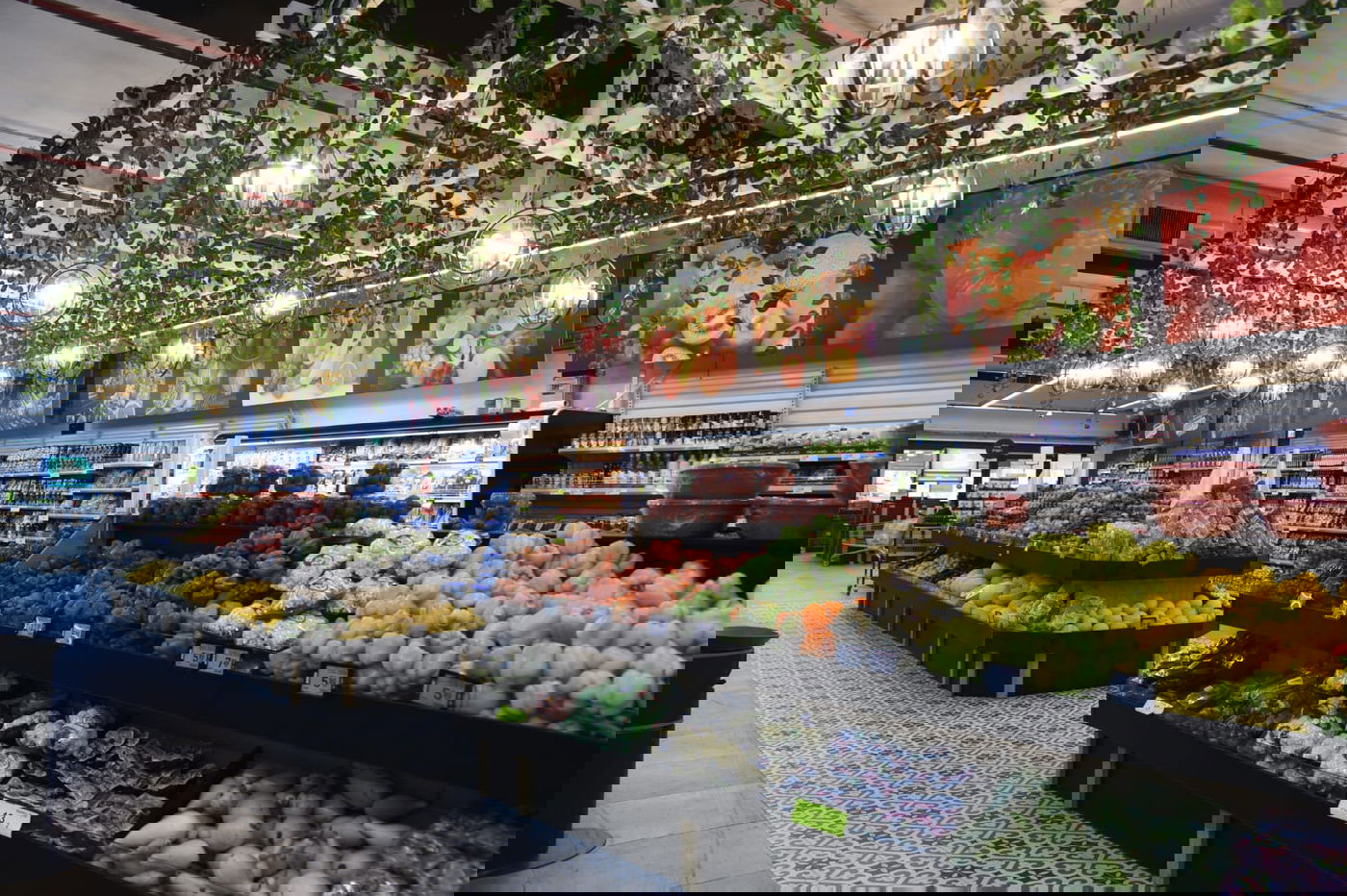 למרות הקורונה: צרפת הגיעה לצפת בטיסה ישירה