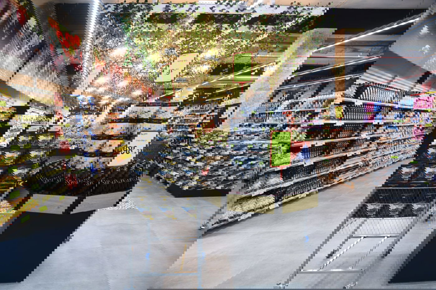 למרות הקורונה: צרפת הגיעה לצפת בטיסה ישירה