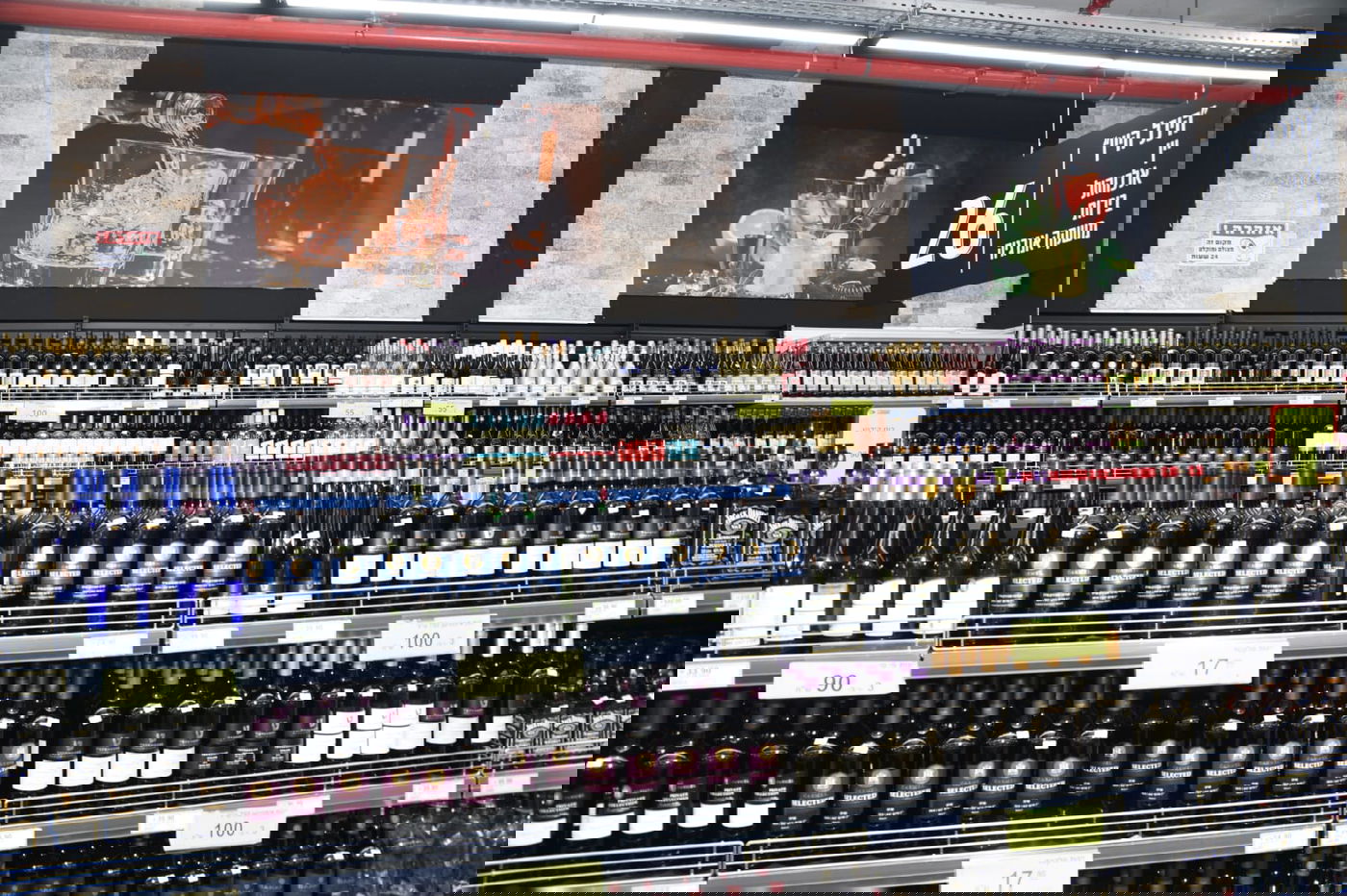 למרות הקורונה: צרפת הגיעה לצפת בטיסה ישירה