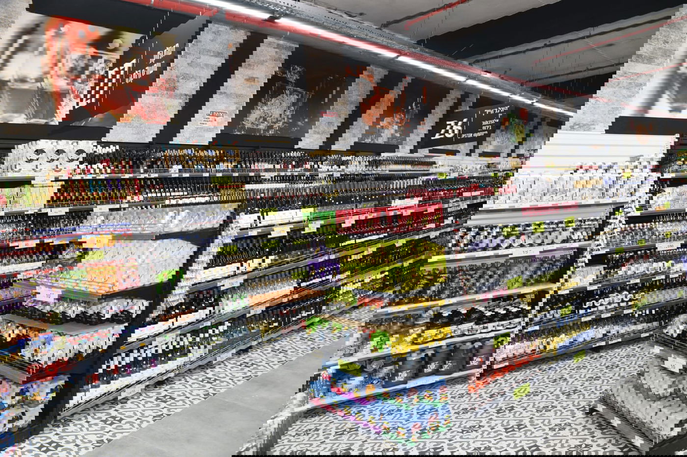 למרות הקורונה: צרפת הגיעה לצפת בטיסה ישירה