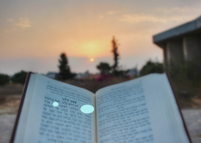 תיעוד גלריה מרהיב מזמן "אשמורת הבוקר"