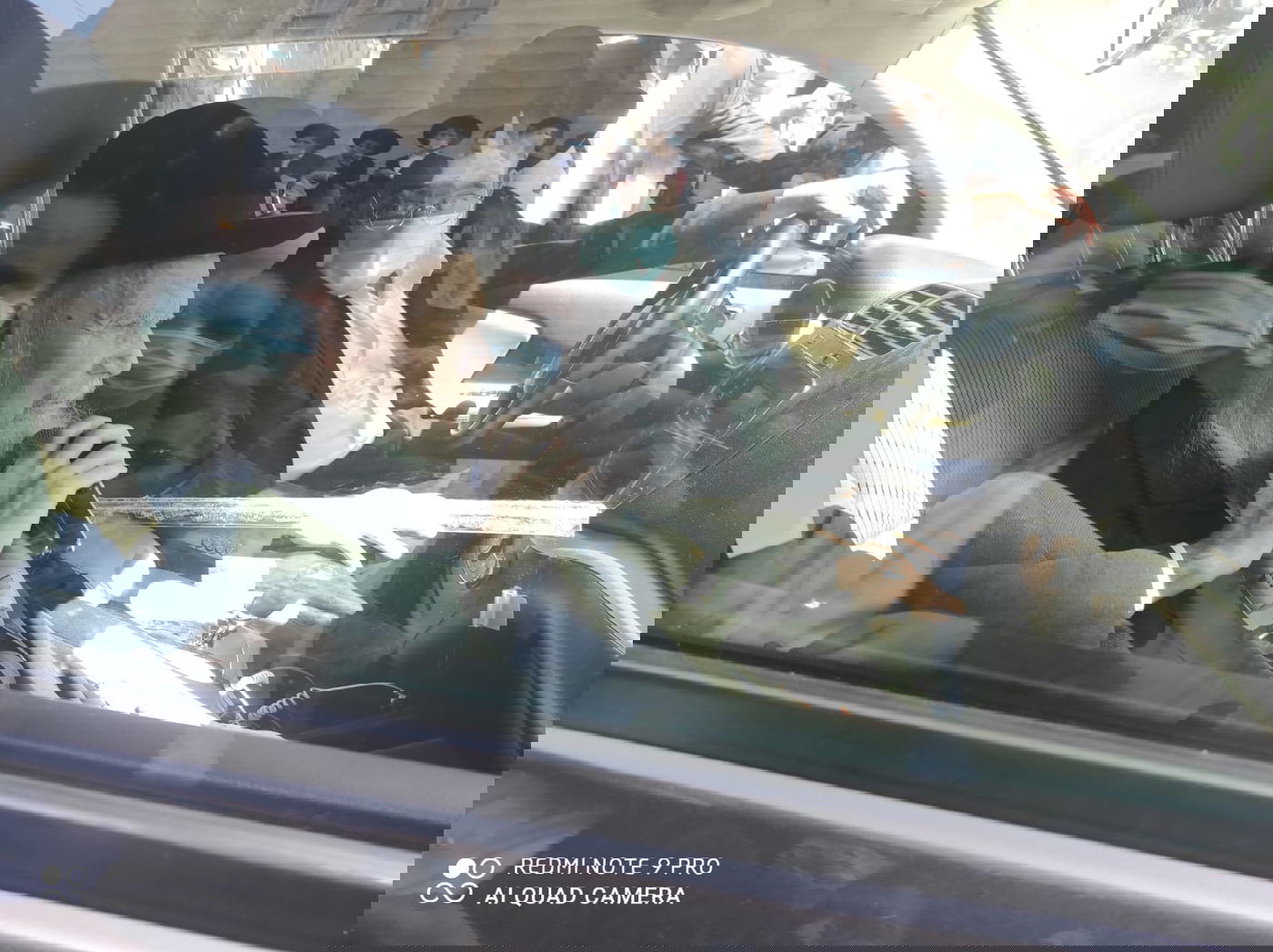 מסע הלווית הרבנית רבקה כהנמן ז"ל • תיעוד