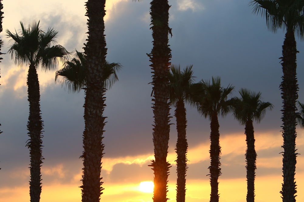 התחזית: גל החום עדיין נמשך, חם מהרגיל