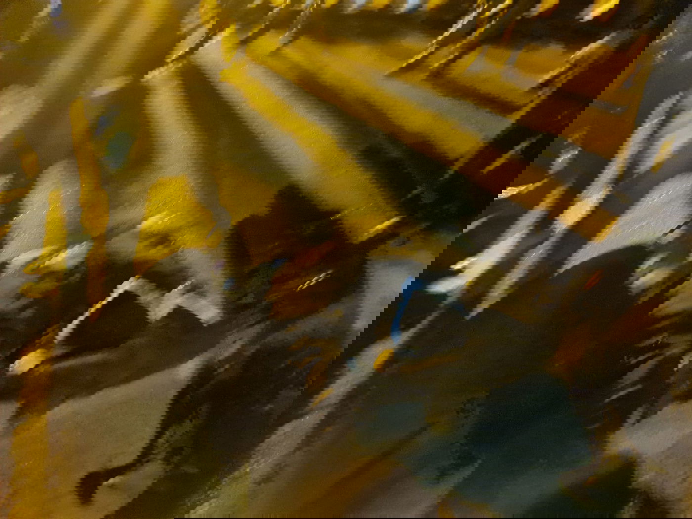 צפו בגבול בבלארוס: צעקות ושירים - בחושך