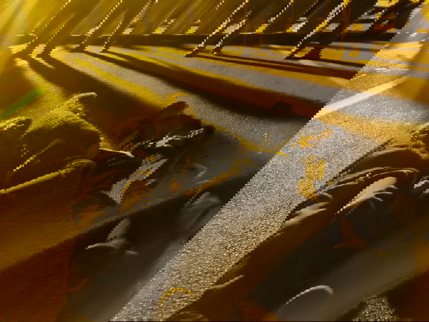 צפו בגבול בבלארוס: צעקות ושירים - בחושך