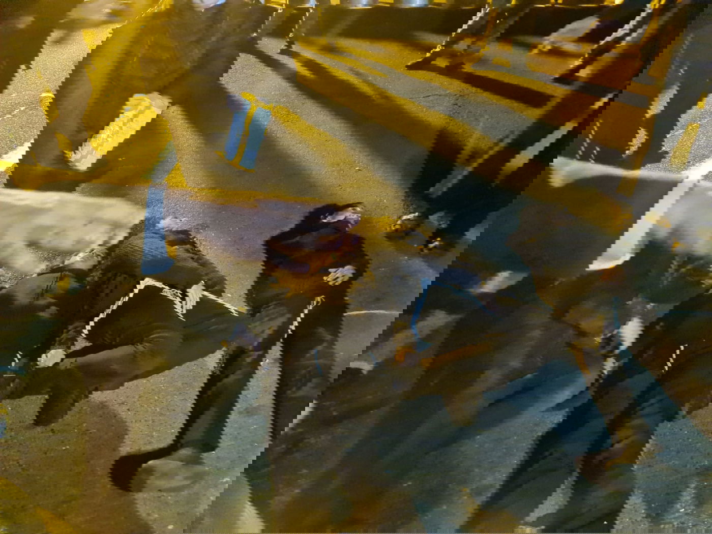 צפו בגבול בבלארוס: צעקות ושירים - בחושך