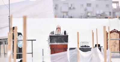 האדמו"ר מצאנז אמירת הסליחות בתחילת השבוע