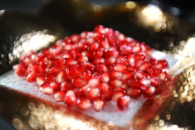 צפו: כך נבדוק את הסימנים של ראש השנה מחרקים