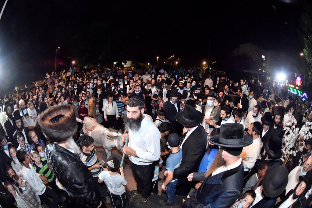 בראשות הרבי ממישקולץ: בעמנואל נערך פדיון פטר חמור