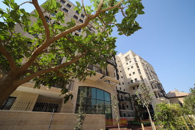 החל אכלוס שלב א' בפרויקט היוקרה ג'רוזלם אסטייטס בשנלר