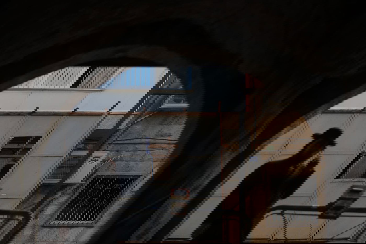 כפרות וארבעת המינים: נערכים לחגי קורונה