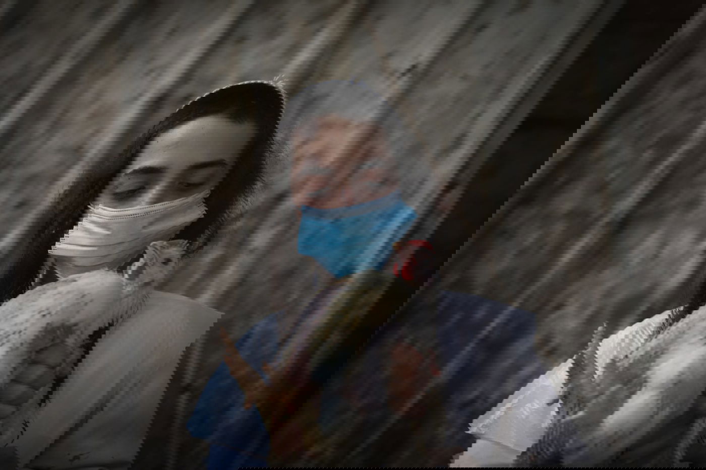 כפרות וארבעת המינים: נערכים לחגי קורונה