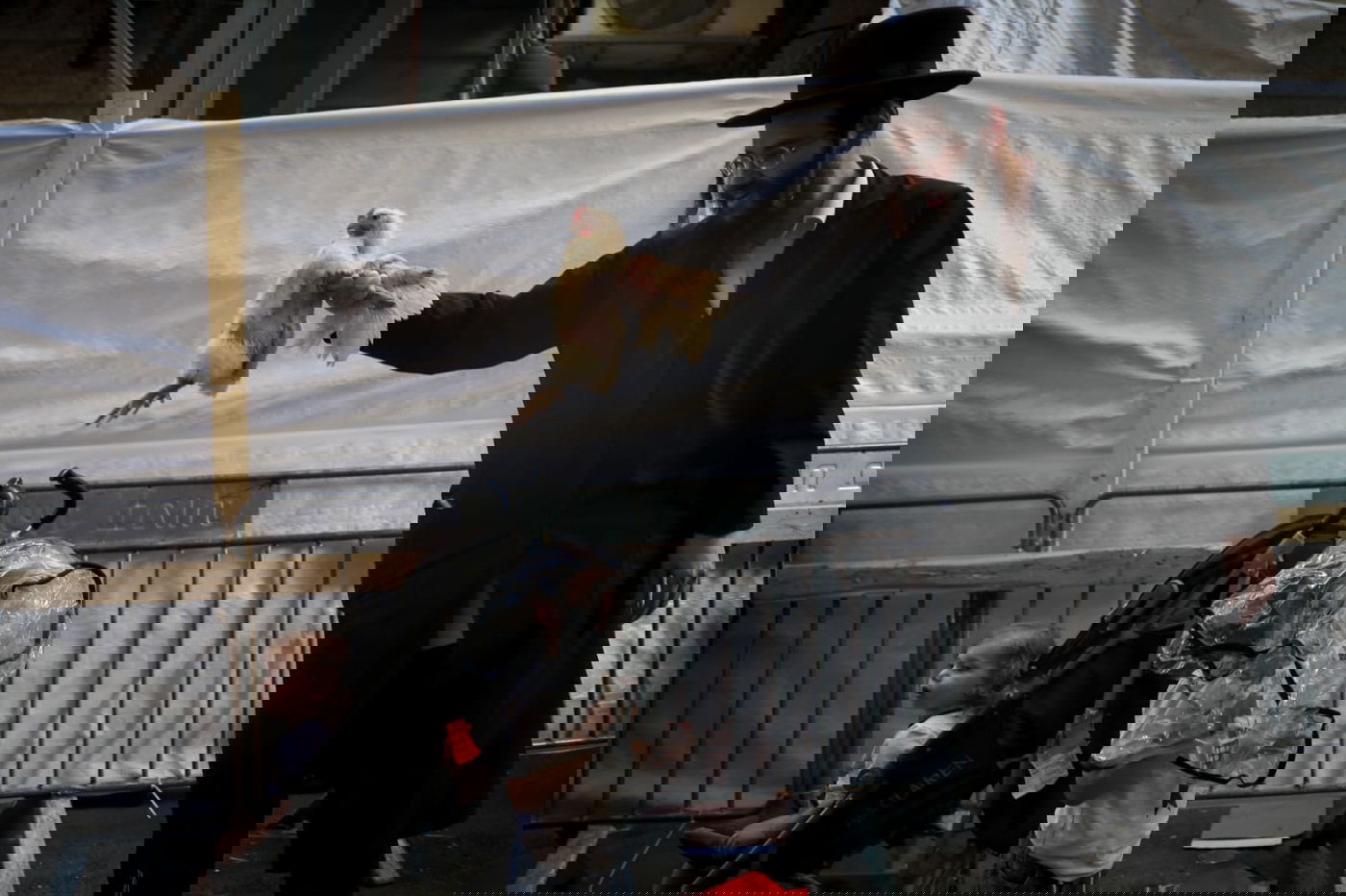 כפרות וארבעת המינים: נערכים לחגי קורונה