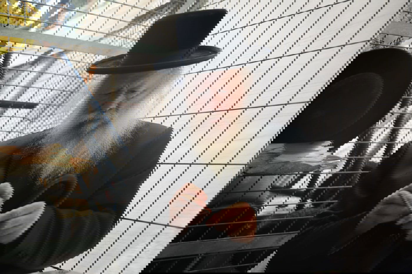 לפני כפרות: כך בודקים את סכיני השחיטה