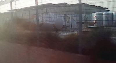 הנערים במפעל הנייר