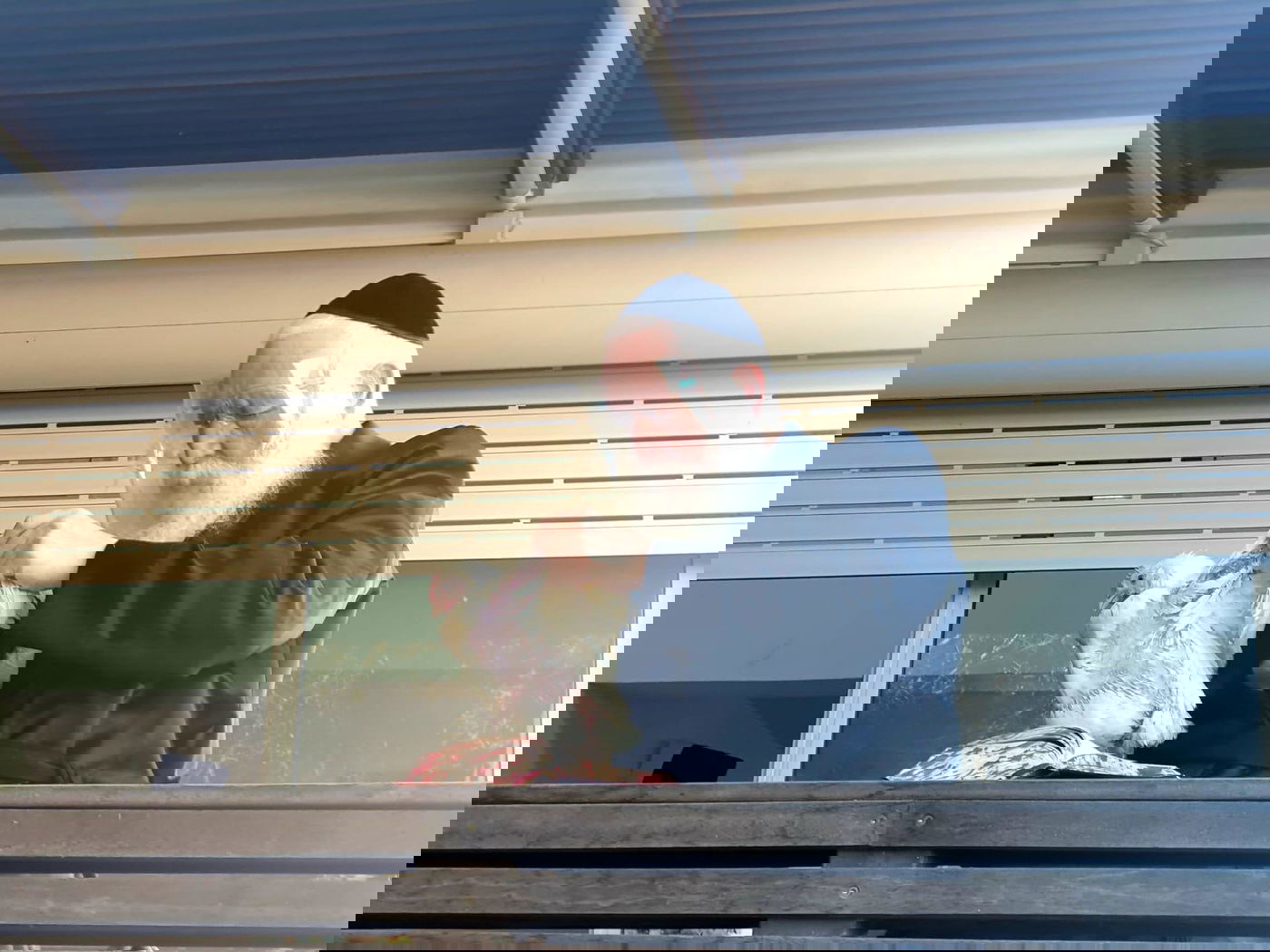 הגרי"ד גרוסמן במנהג הכפרות וכיסו הדם