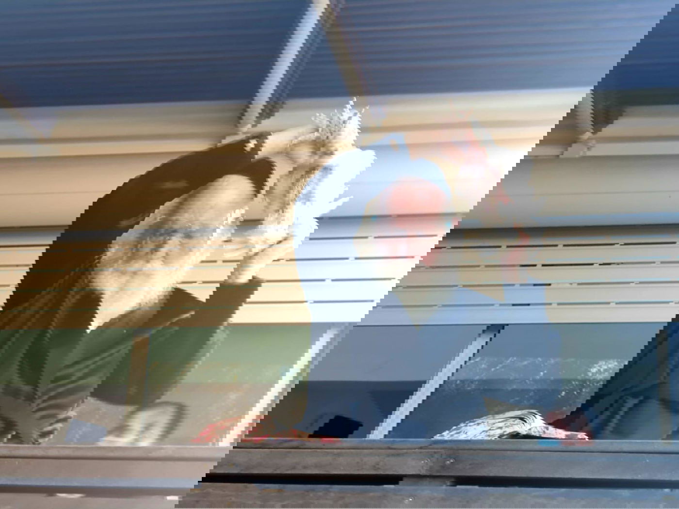 הגרי"ד גרוסמן במנהג הכפרות וכיסו הדם