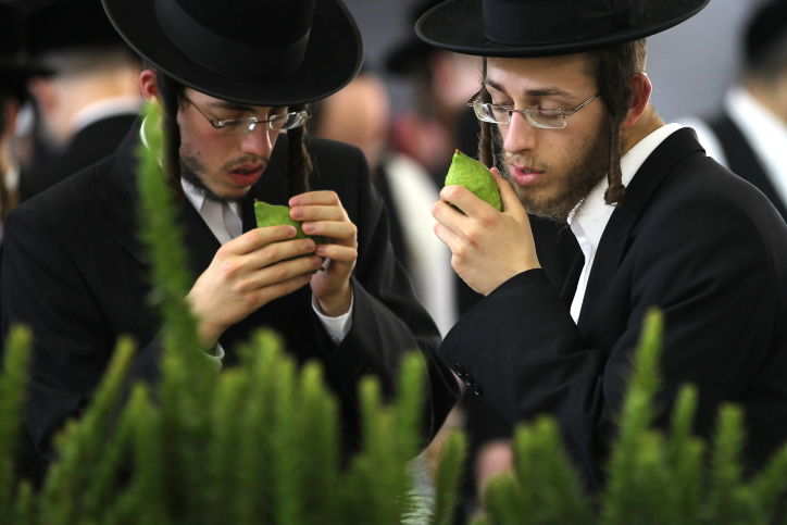 אילוסטרציה