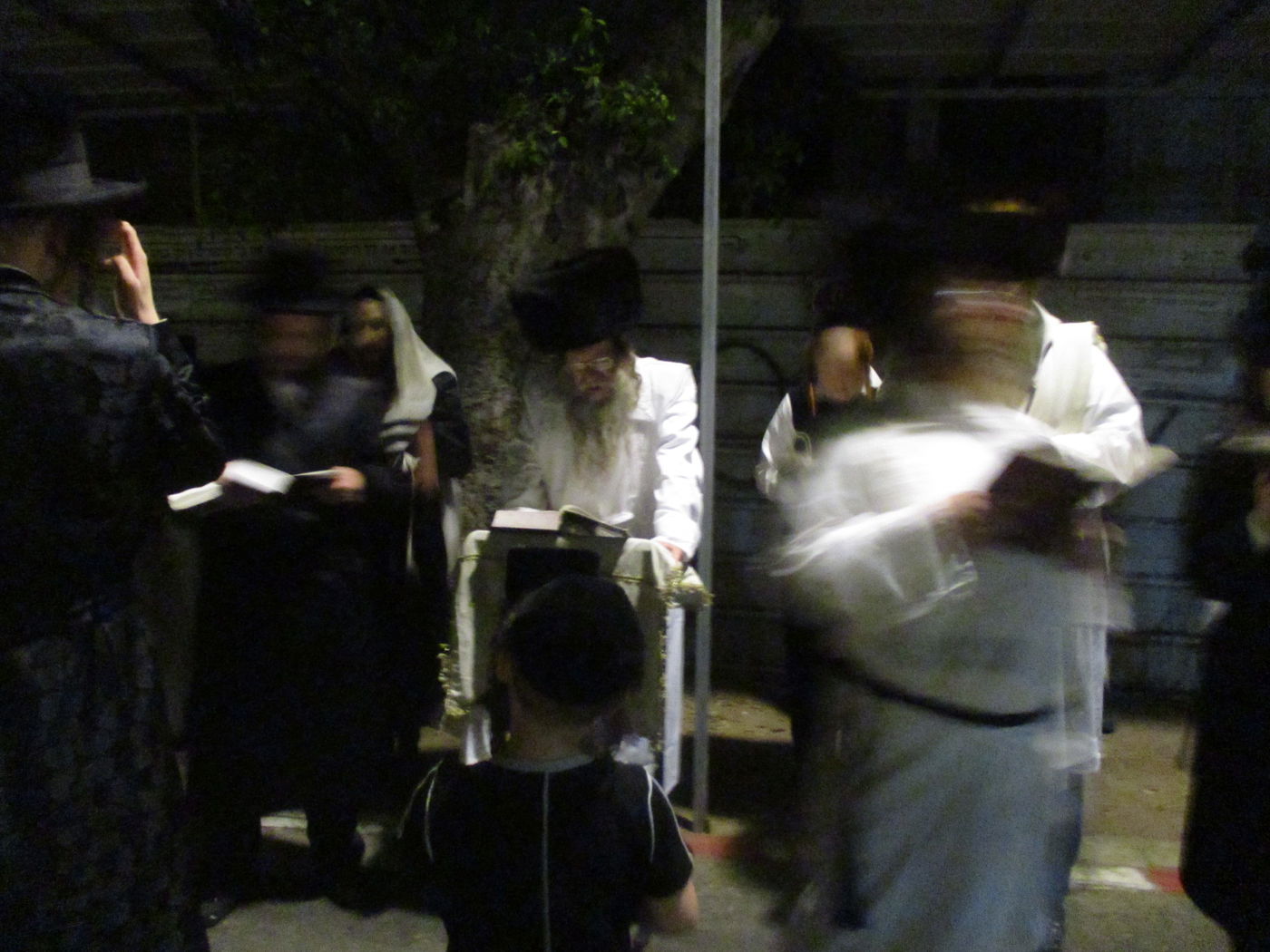 מוצאי יום כיפור בחצרות קוזמיר וטעמשוואר