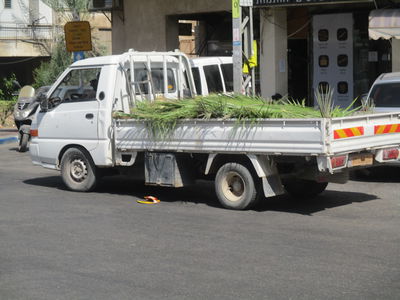 כך תושבי בני ברק נערכים לחג הסוכות - בצל הסגר