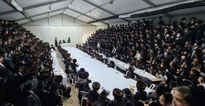 טיש. אילוסטרציה