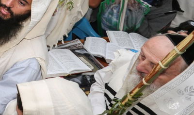 אילוסטרציה