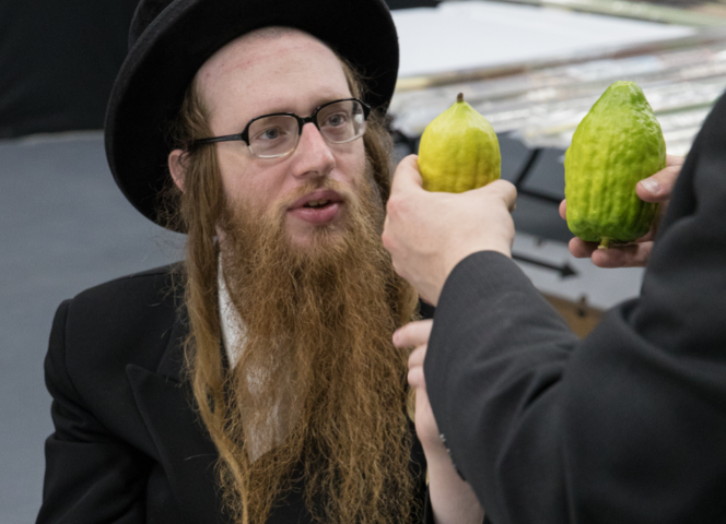 מרהיב: כך נערכים בויליאמסבורג לחג סוכות