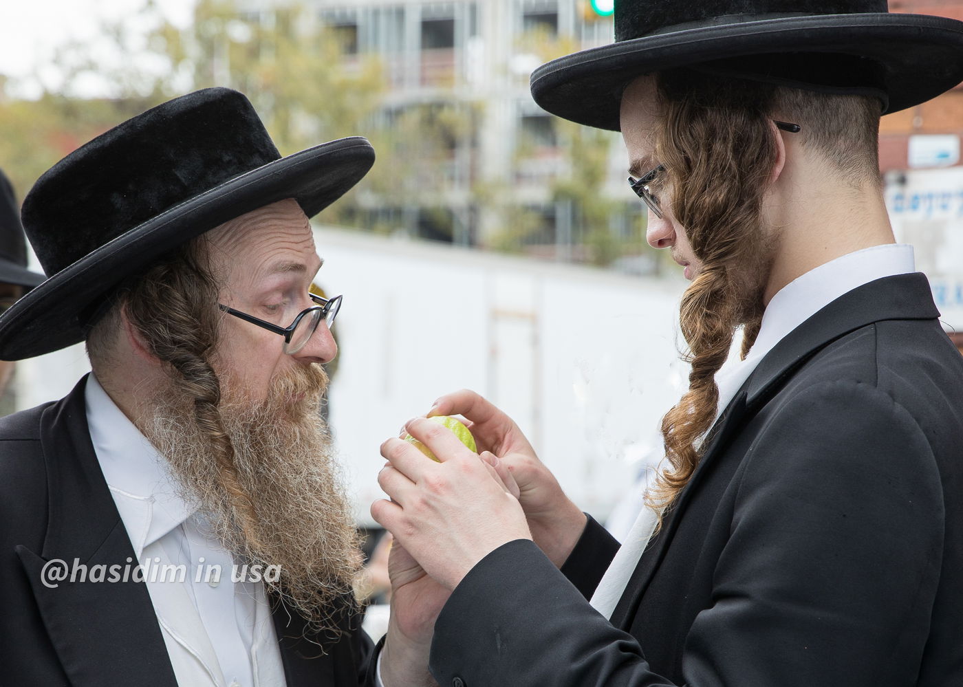 מרהיב: כך נערכים בויליאמסבורג לחג סוכות