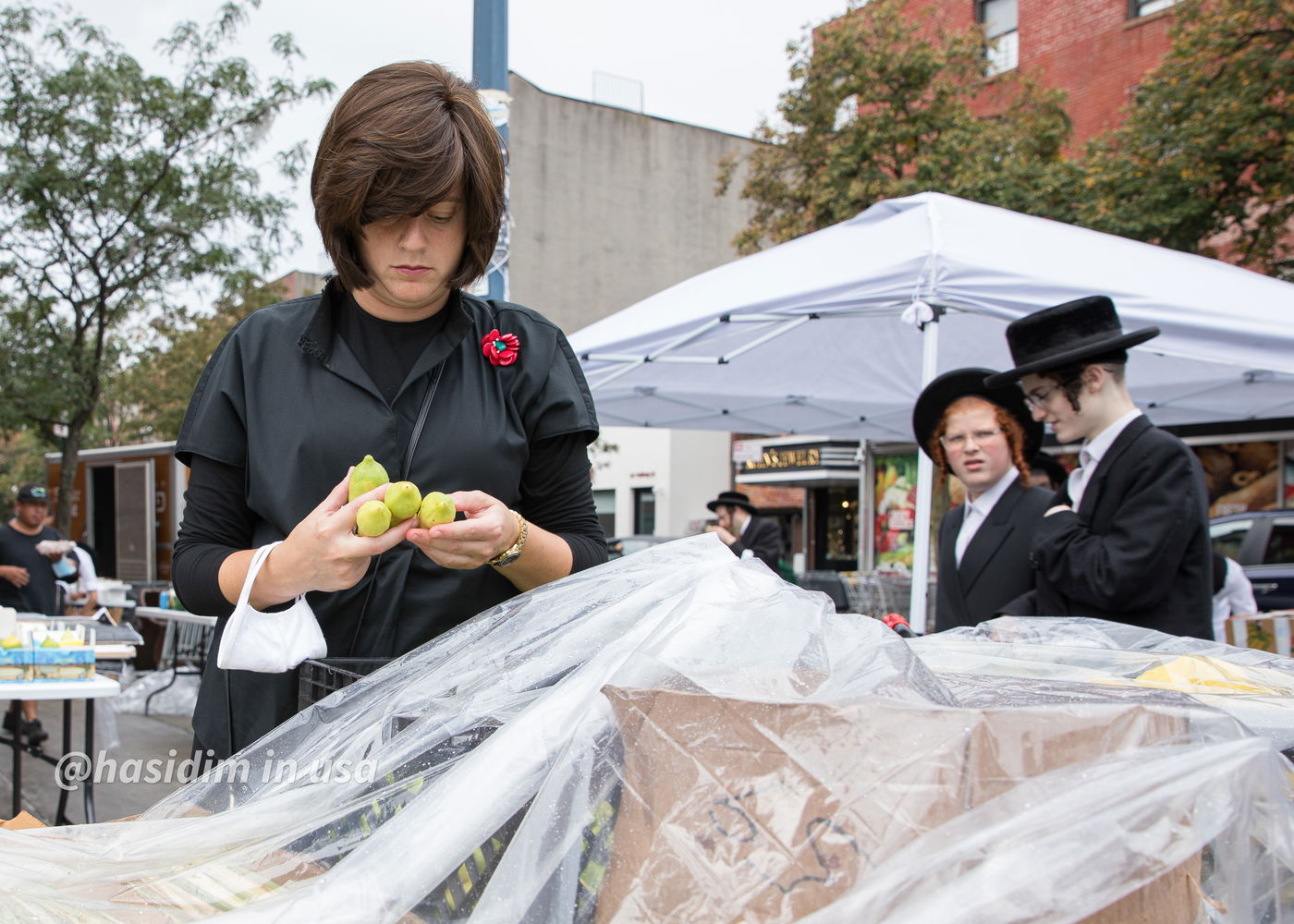 מרהיב: כך נערכים בויליאמסבורג לחג סוכות