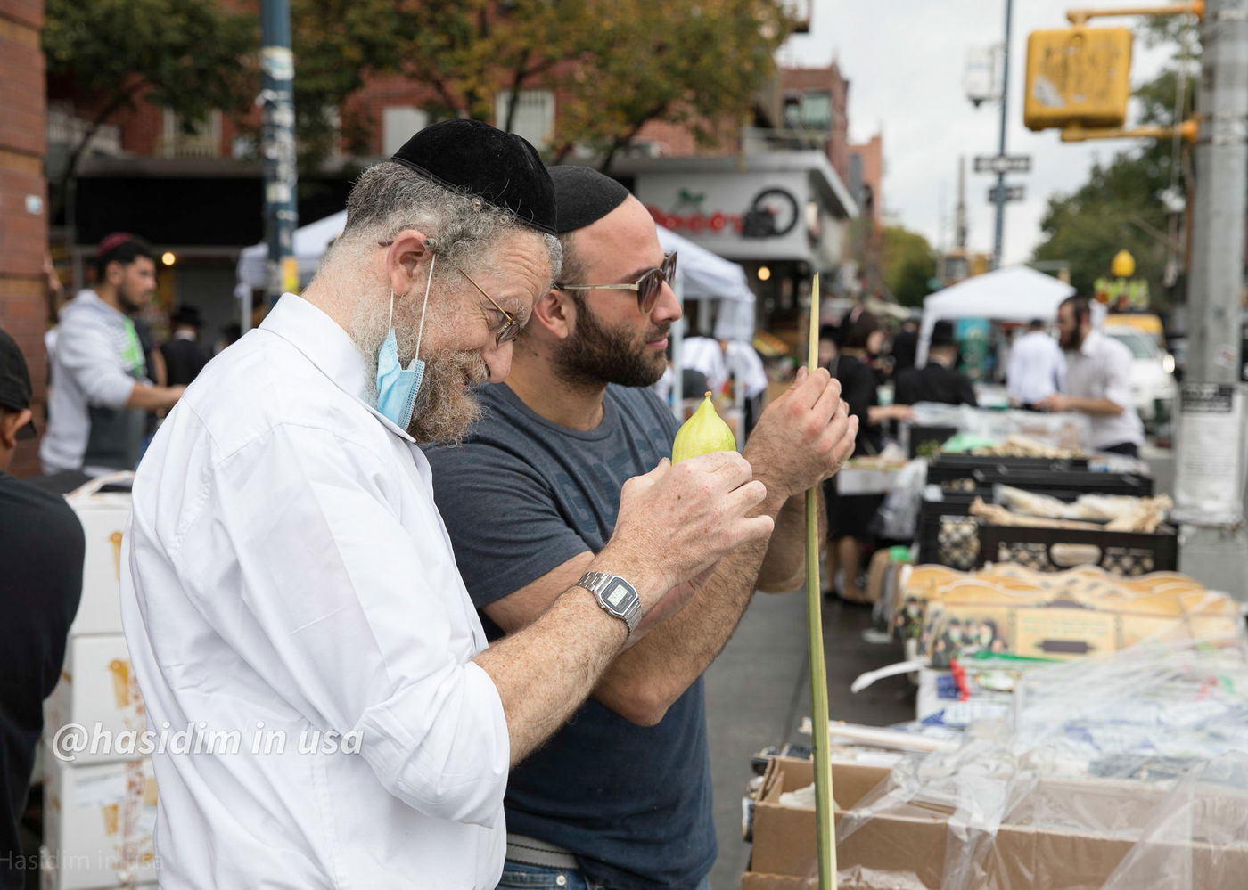 מרהיב: כך נערכים בויליאמסבורג לחג סוכות