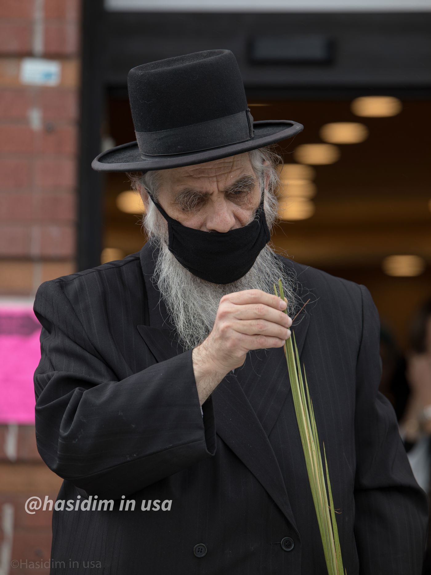 מרהיב: כך נערכים בויליאמסבורג לחג סוכות