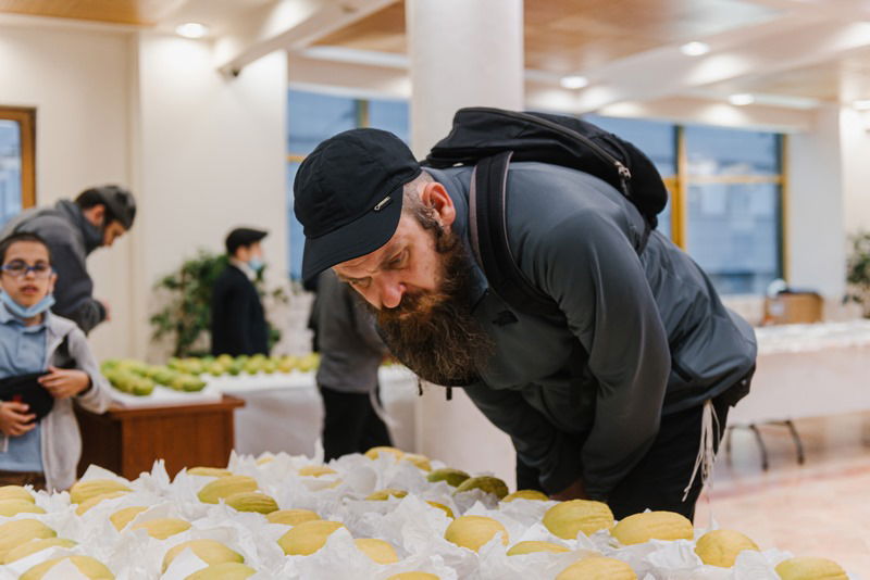הושלמו ההכנות במוסקבה לקראת חג הסוכות