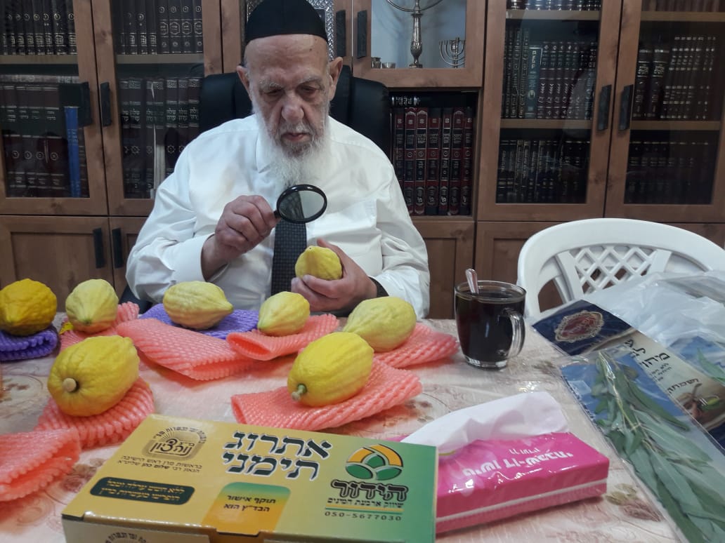 נשיא המועצת הגר"ש כהן בוחר ד' המינים