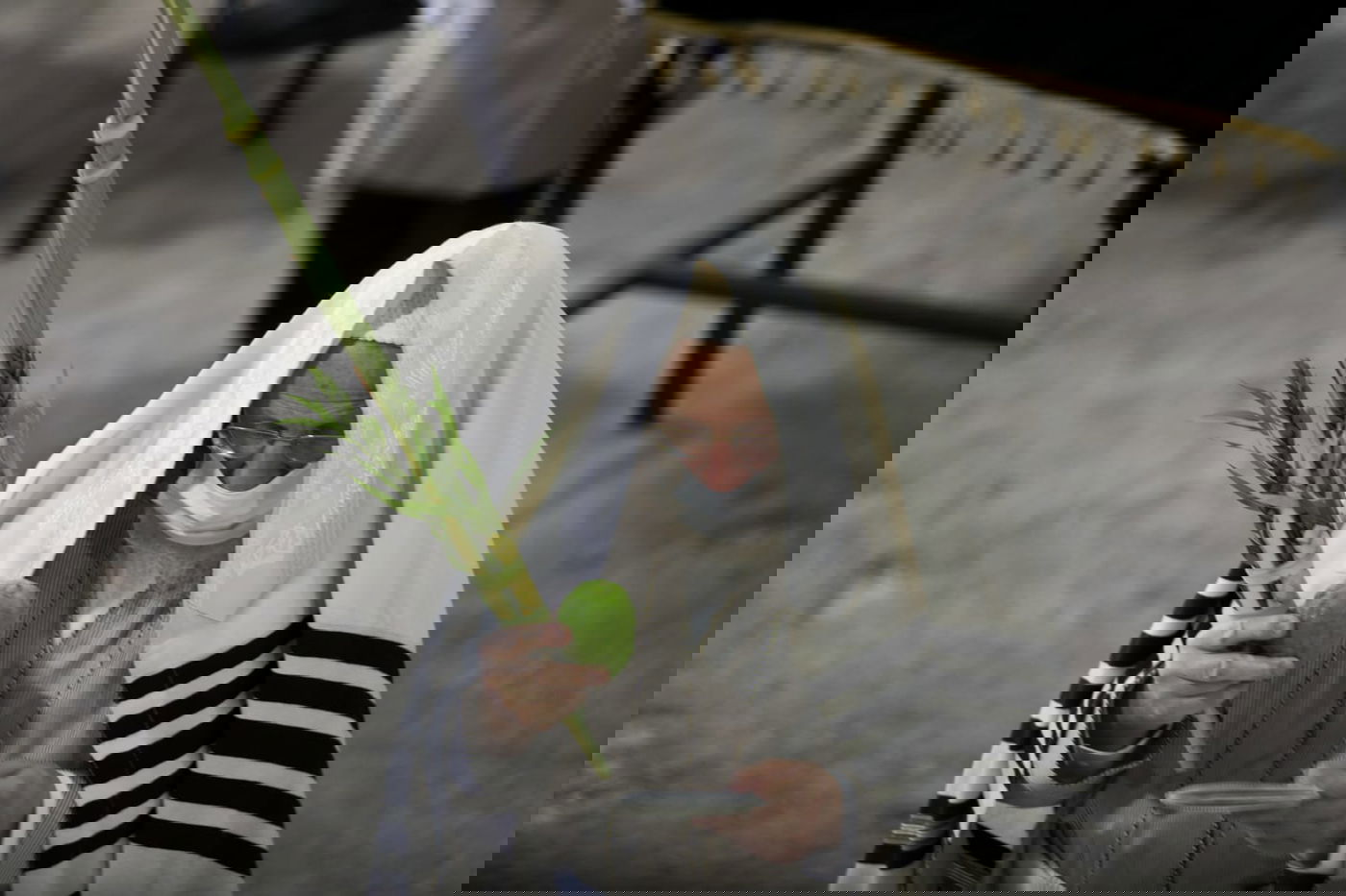 בהתאם להנחיות: תפילת חול המועד בקרלין