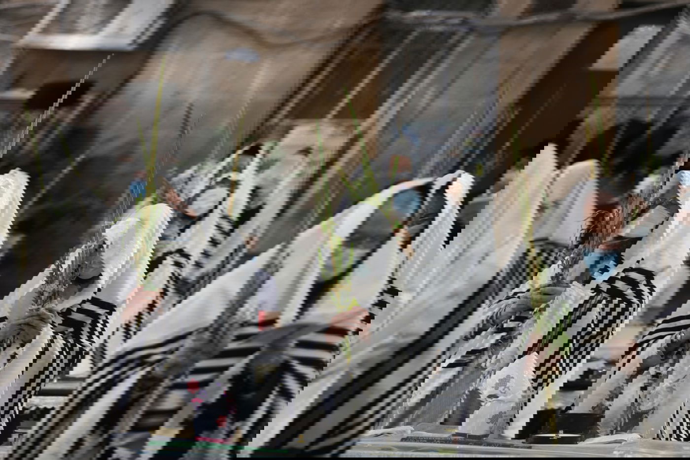 בהתאם להנחיות: תפילת חול המועד בקרלין