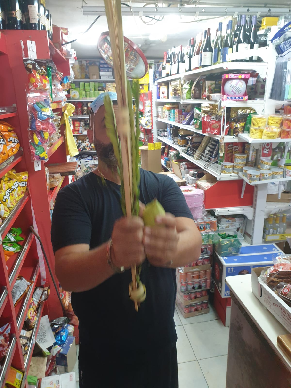 מבלפור ועד מחלקות הקורונה: רבבות נוטלים לולב עם שלוחי חב"ד