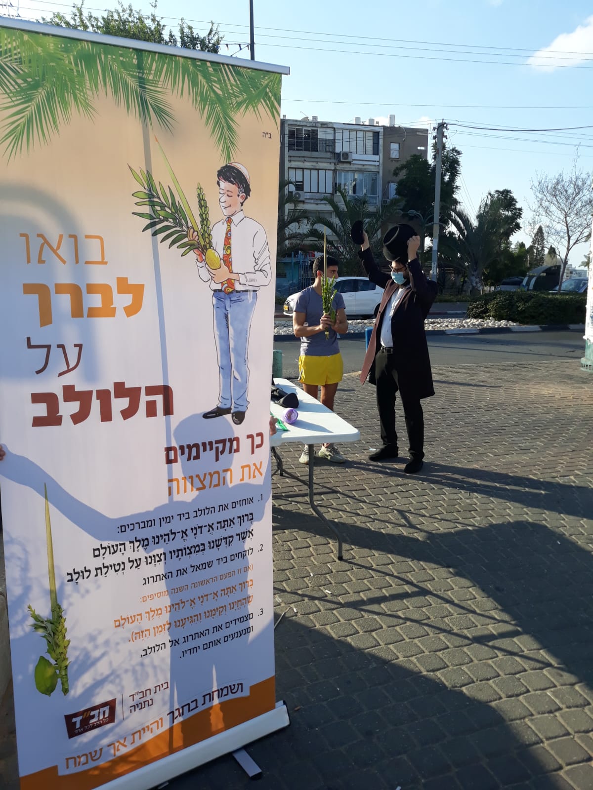 מבלפור ועד מחלקות הקורונה: רבבות נוטלים לולב עם שלוחי חב"ד