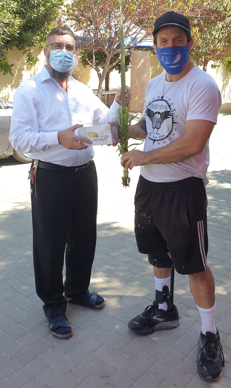 מבלפור ועד מחלקות הקורונה: רבבות נוטלים לולב עם שלוחי חב"ד